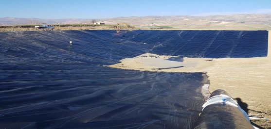 Geomembrane